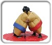 Sumo Wrestling